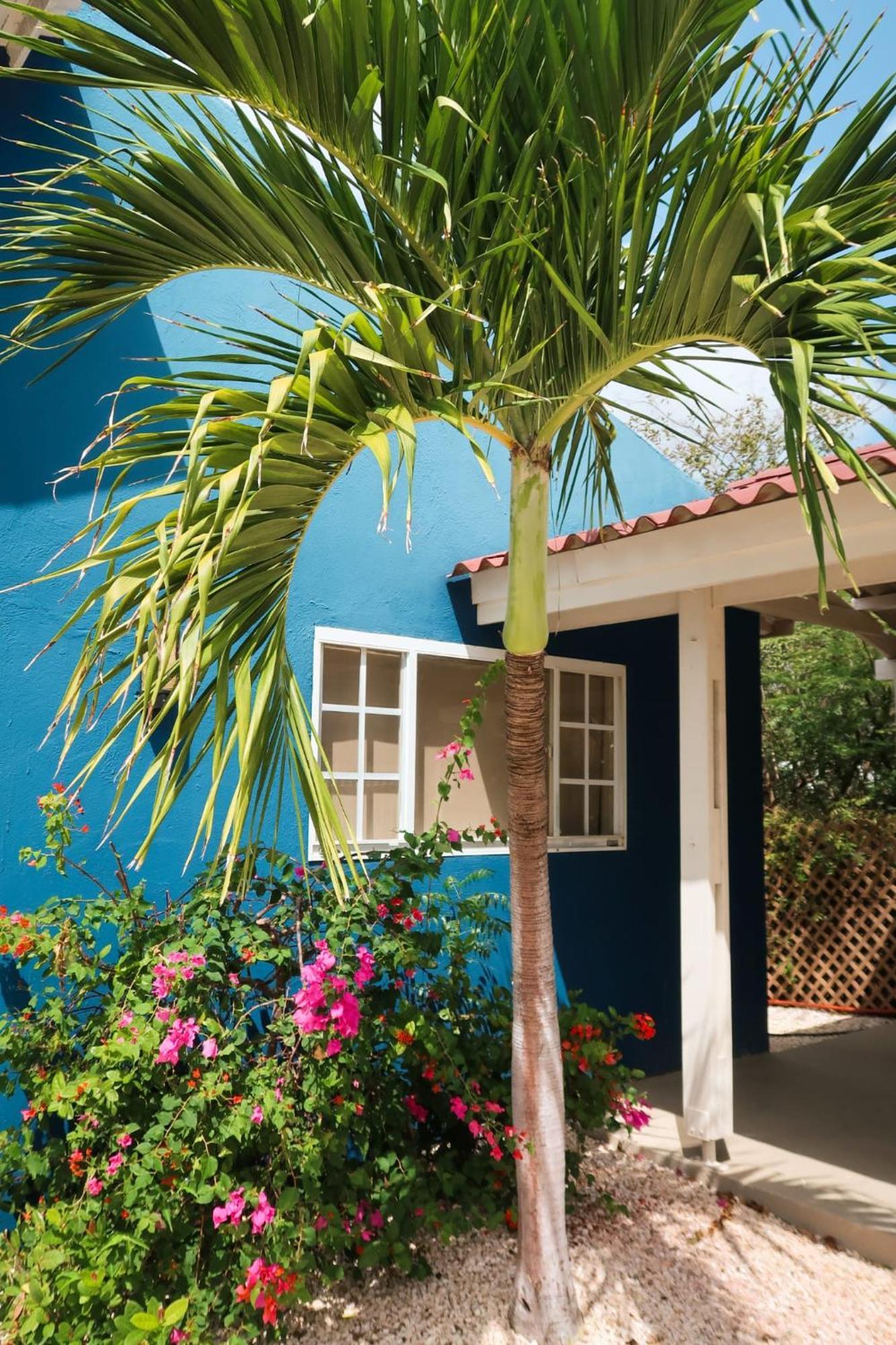 Mini Resort Kaya Verdi ウィレムスタッド エクステリア 写真